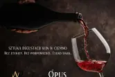 Sztuka Degustacji Win w Ciemno