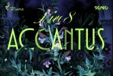 Accantus Live