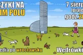 Komedia z Ikrą