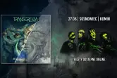 Transgresja