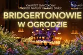 Muzyka z serialu Bridgerton: Koncert przy świecach w plenerze